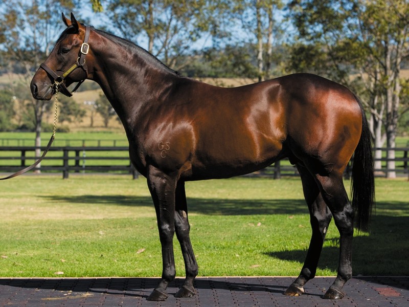 Extreme Choice Colt Knocked Down For A$350,000, Setting Sale ... Image 1